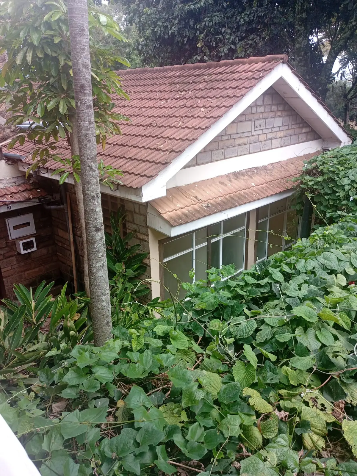 6 bedroom house for rent in Karen